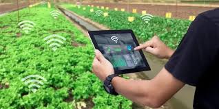 Smart Farming Alat Teknologi yang Bikin Pertanian Tetangga Jadi Modern